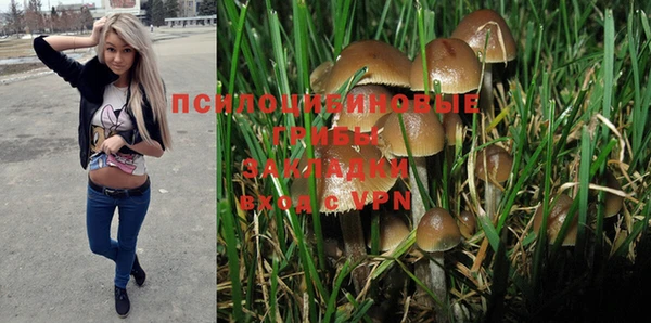 не бодяженный Богородицк