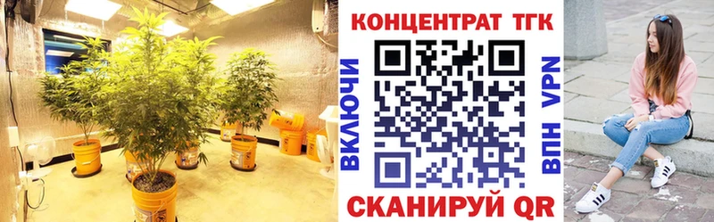 Купить где  Сергач  Дистиллят ТГК THC oil 